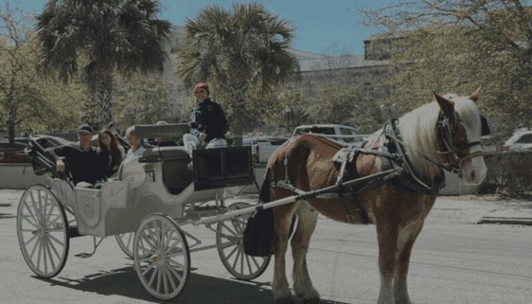 Charleston, SC: Private Evening Horse & Carriage Tour - Why This Tour Stands Out