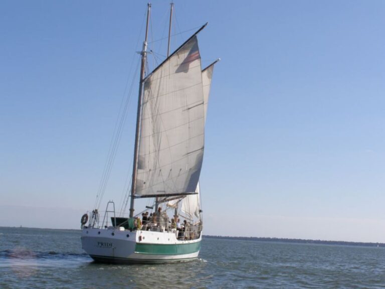 Charleston: Schooner Sailing Harbor Tour & Dolphin Watch - What’s Included & Practicalities