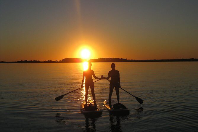 Charleston Stand-Up Paddleboard Eco Tour - The Value of This SUP Eco Tour