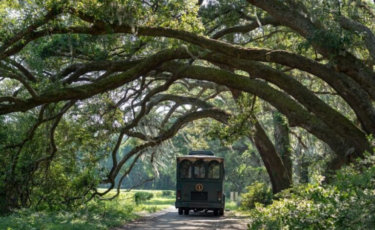Charleston: Wadmalaw Island Wine Tasting and Tea Garden Trip - A Full Breakdown of the Experience