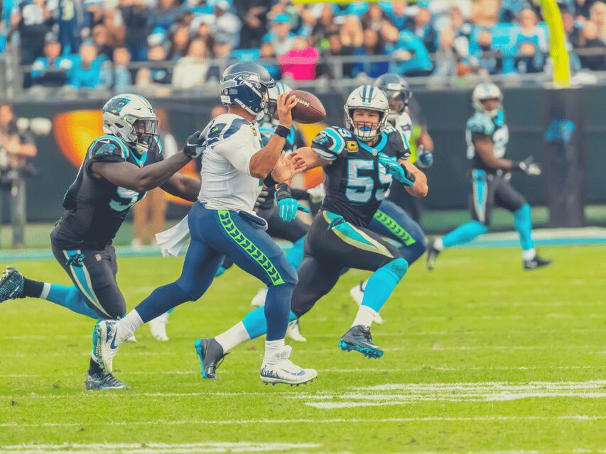 Charlotte: Panthers Football Game at Bank of America Stadium - The Atmosphere and Crowd