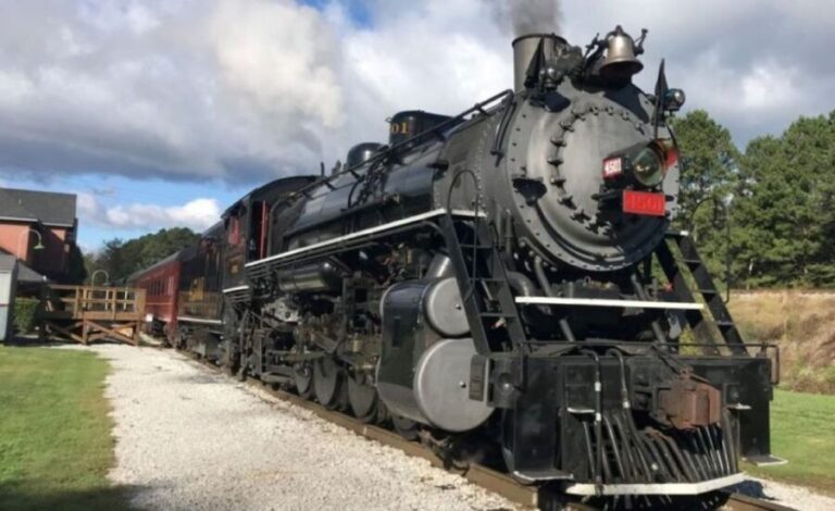 Chattanooga: Derailed Trolley Tour and Train Ride - What the Reviews Say