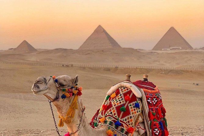 Cheap Private tour to Giza pyramids and the Sphinx - Transportation and Logistics: Making It Easy