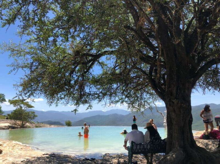 Check out Hierve el Agua, Mitla, the Tule Tree, Rugs, and a Mezcal Distillery Tour - The Practicalities: Transportation, Guides, and Cost