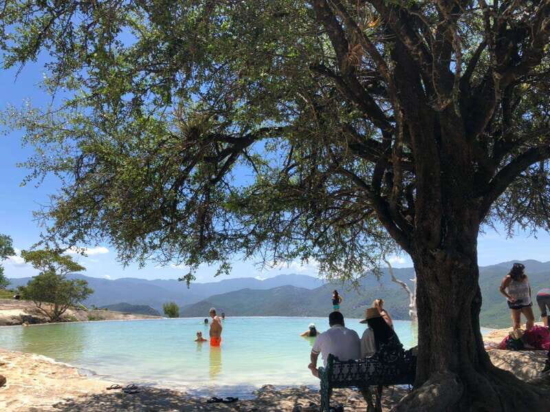 Check out Hierve el Agua, Mitla, the Tule Tree, Rugs, and a Mezcal Distillery Tour - The Practicalities: Transportation, Guides, and Cost