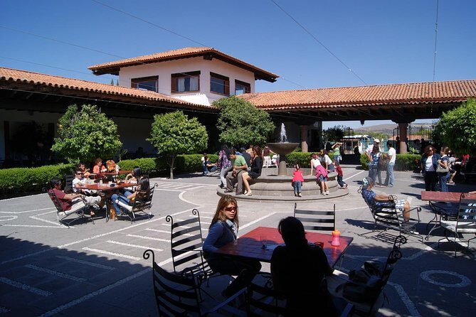 Cheese and Wine Route Tour with starting from Querétaro - What’s Included and What’s Not