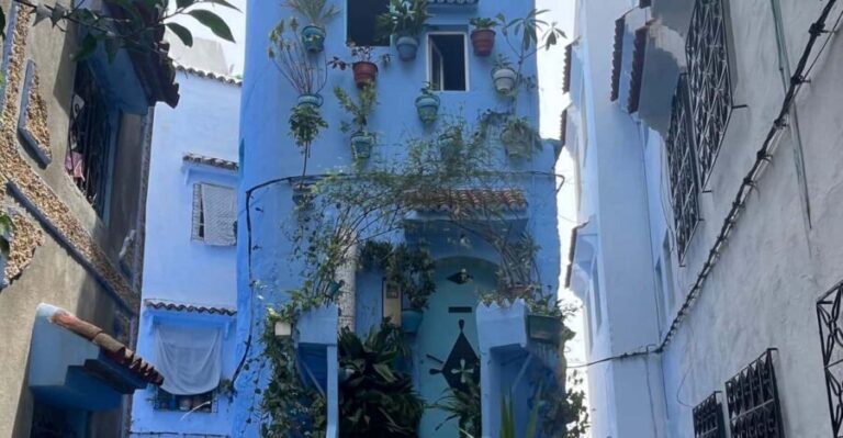 Chefchaouen the blue city and waterfalls akchour - What Makes This Tour Stand Out