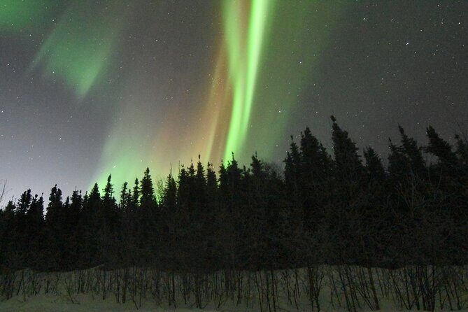 Chena Hot Springs Northern Lights Aurora Borealis From Fairbanks - Who Will Love This Tour