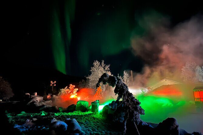 Chena Hot Springs Round Trip Tour - Who Is This Tour Perfect For?