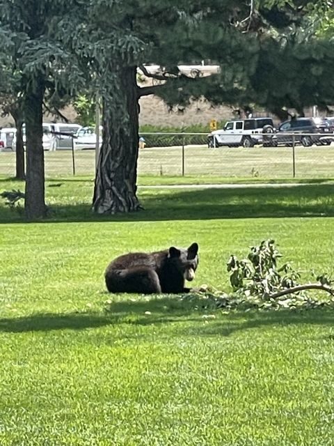 Cheyenne Cañon Art and Nature Segway Tour - Frequently Asked Questions