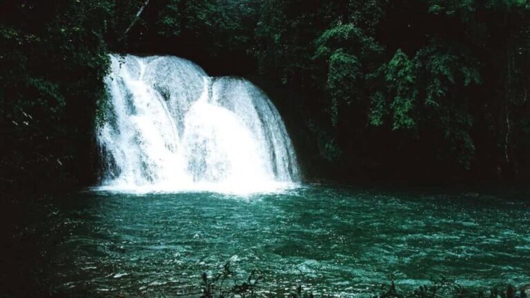 Chiapas: 4-Day Highlight Tour - In Summary: Who Should Consider This Tour?