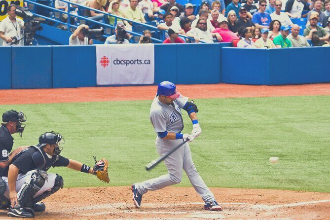 Chicago Cubs Baseball Game Ticket at Wrigley Field - Who Should Book This Experience?