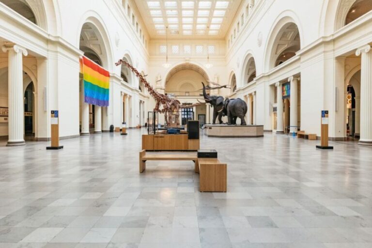 Chicago: Field Museum of Natural History Ticket or VIP Tour - Value and Pricing