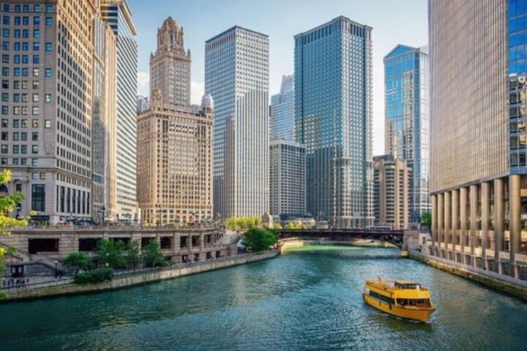 Chicago: Private custom tour with a local guide - Who Will Love This Tour?