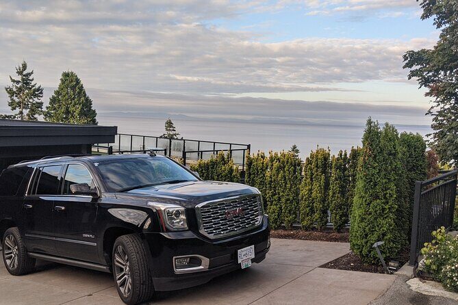 Chicago to Chicago Airport (MDW) - Departure Private Transfer - Who This Service Is Perfect For