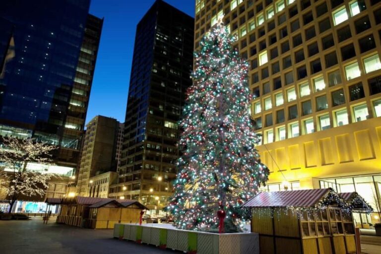 Chicagos Festive Lights: Private Magical Christmas Journey - Who Should Consider This Tour?