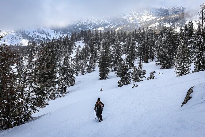 Chickadee Ridge Beginner Snowshoe Activity - Frequently Asked Questions