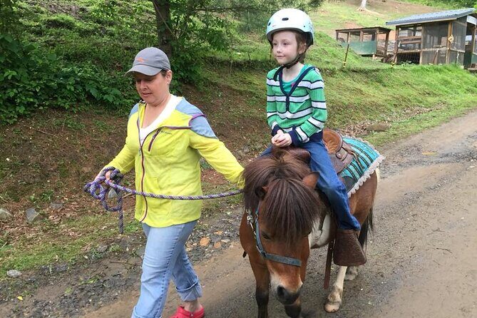 Children Mini Horse Rides - Practical Tips for Participants