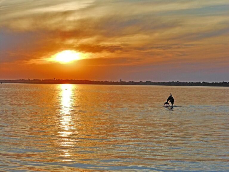 Chincoteague: Assateague Island Sunset Boat Cruise - The Magic of Sunset and Coastal Views