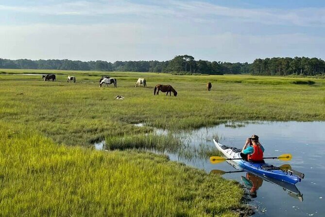 Chincoteague Kayak Rentals around Assateague Island - Practical Tips