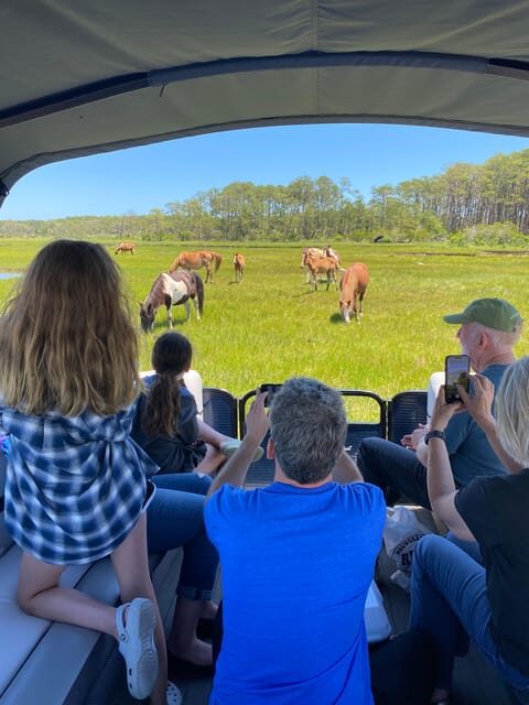 Chincoteague: Premier Pony & Wildlife Small Group Boat Tour - Price and Value Analysis