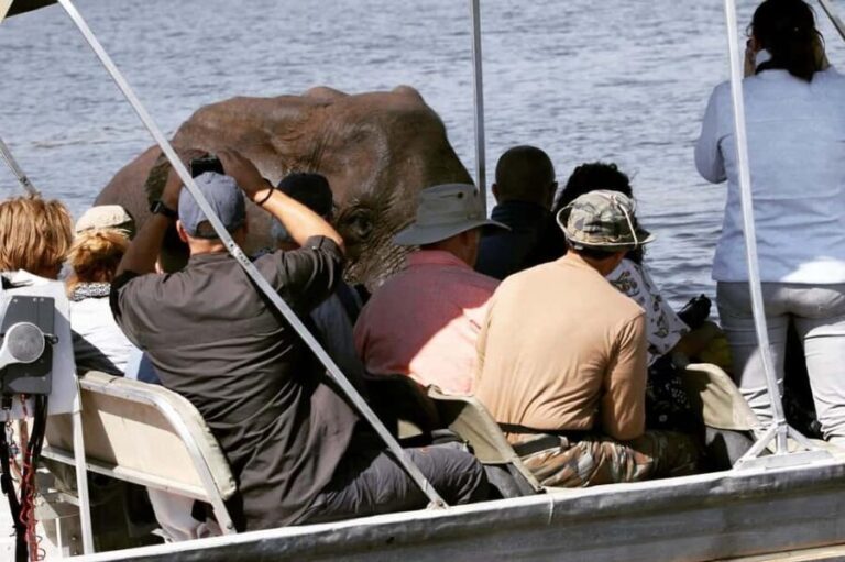 Chobe: 2-Day Mobile Camping Safari - What Makes This Tour Stand Out?