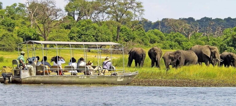 Chobe Day Trip From Livingstone Town - What’s Included and What’s Not