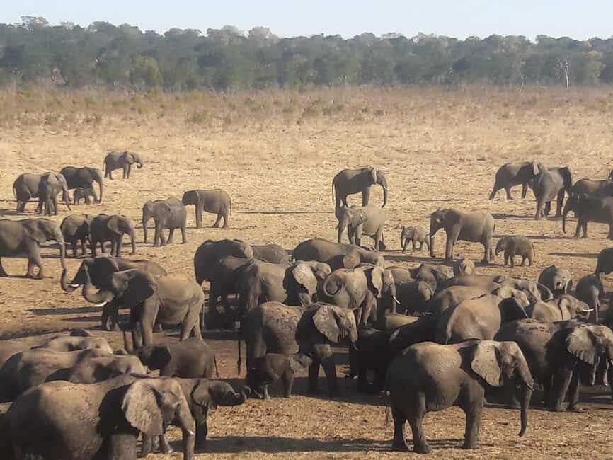 Chobe Extended Day Trip
