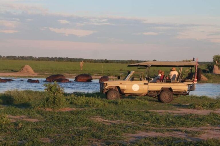 Chobe full day trip - The Sum Up
