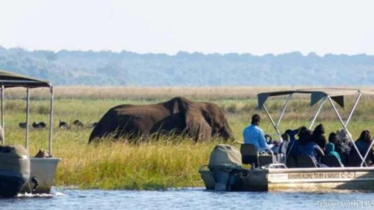 Chobe full day trip - Chobe National Park Botswana - Practical Details