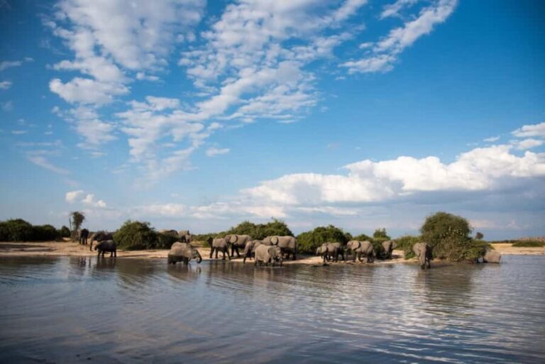 Chobe National Park: Day Trip with River Cruise - Final Thoughts