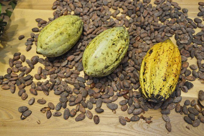 Chocolate and Cobblestones Tour with Taste of San Miguel - Authenticity and Value
