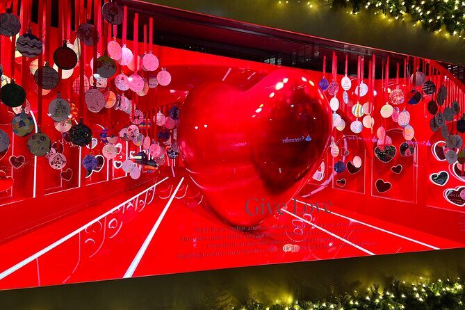 Christmas Holiday Lights Private Tour - The Practicalities: What to Expect