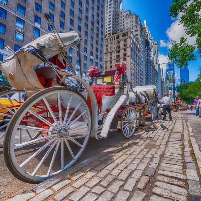 Christmas in Central Park: Horse Carriage Holiday Tour - The Ride: What You’ll See and Experience