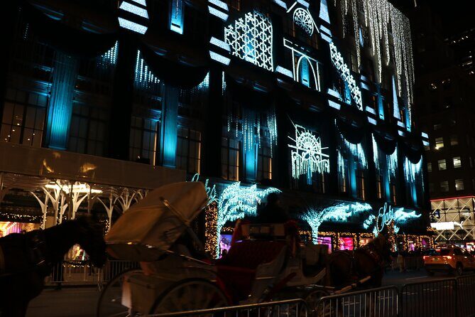 Christmas Light Private Carriage Ride New York City - What You Can Expect