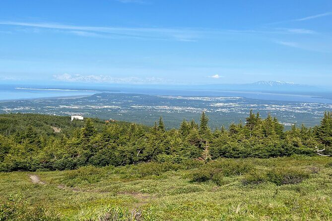 Chugach State Park Nature Walk - Who Will Love This Tour?