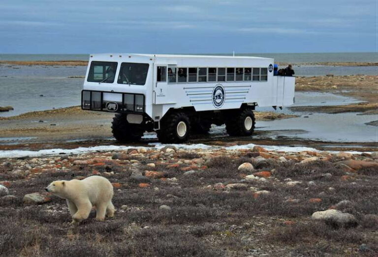 Churchill: Exclusive Tundra Buggy Day Trip - The Itinerary and Logistics
