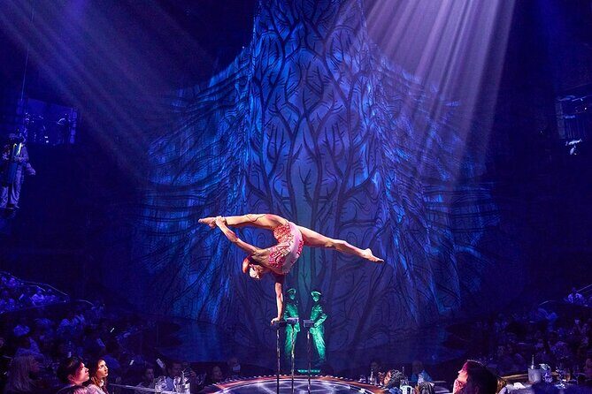 Cirque du Soleil JOYÀ Admission Tickets - The Performance Itself: Highlights and Impressions