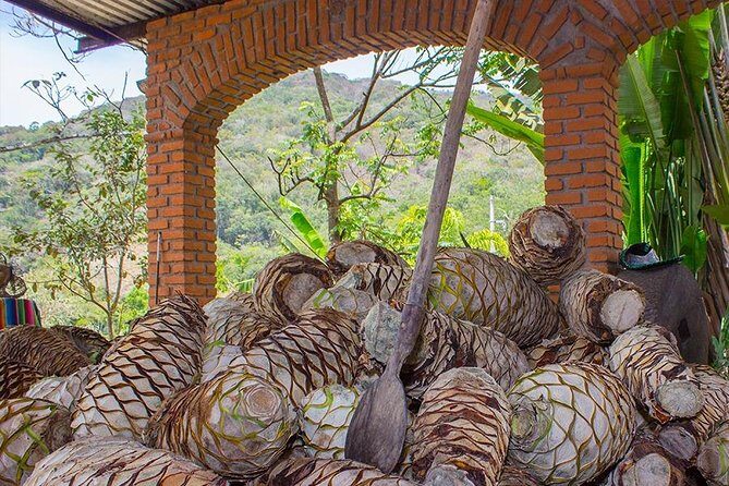 City and Tequila Tour in Puerto Vallarta - The Value for Your Money
