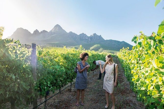 City Sightseeing Full Day Tour with Stellenbosch and Franschhoek Wineries - What the Tour Gets Right