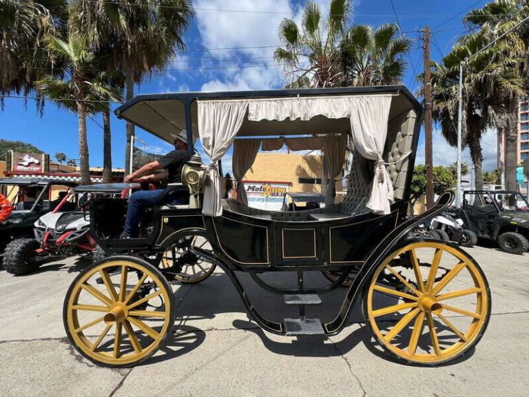 City tour on electric horse wagon. - The Itinerary Breakdown