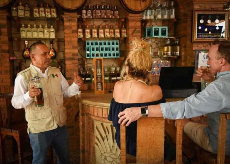 City Tour to Cabo San Lucas and Transparent boat to the Arch - What’s the Overall Value?
