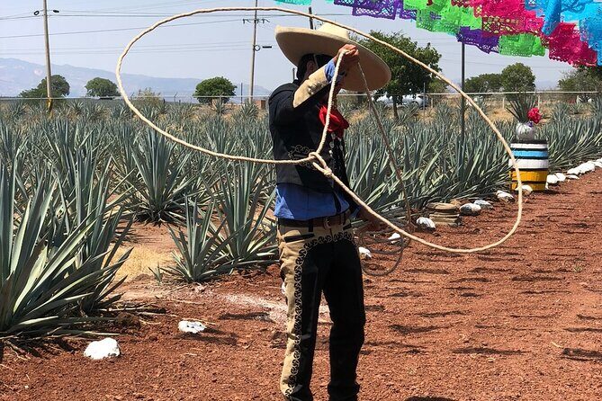 Classic Tequila Tour and CANTARITOS EL GÜERO - What’s Included and What’s Not?