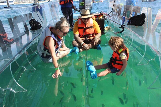 Clear Boat Ride in Los Cabos - What’s Included and What’s Not