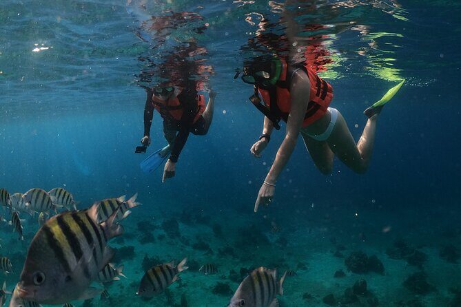 Clear Boat & Snorkel Cozumel Tour with Drinks - The Value and Who It’s Best For