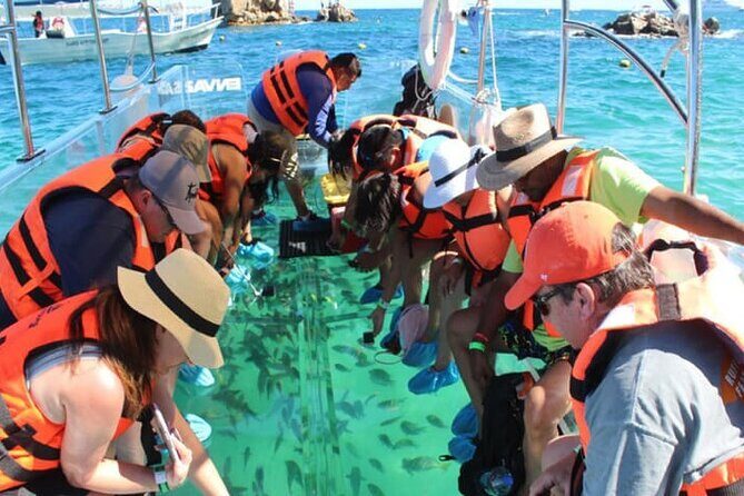 Clear Boat Tour in Cabo San Lucas - Authenticity & Real Experiences