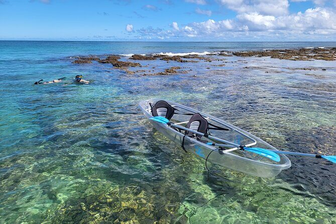 Clear Bottom Kayak - Guaranteed to see Turtles! - The Sum Up