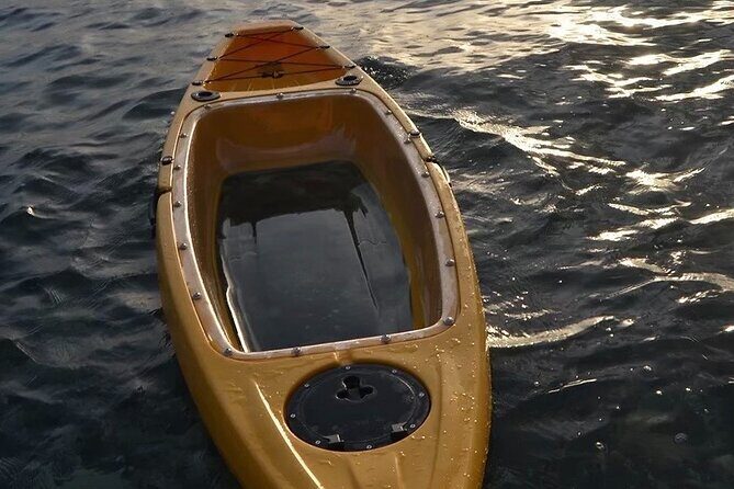 Clear Bottom Kayak Rental for Kings Bay Three Sisters Springs - Key Points