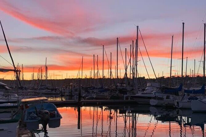 Clear Bottomed Kayak Rentals in San Diego - What Makes the Experience Special?