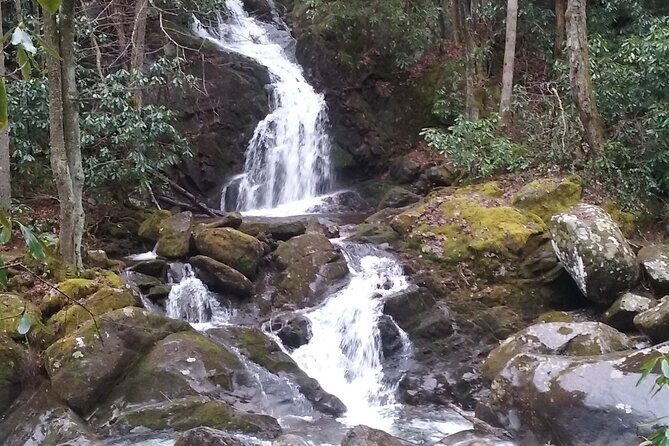Clear Creek Falls Hike - The Value of Guided Small-Group Tours